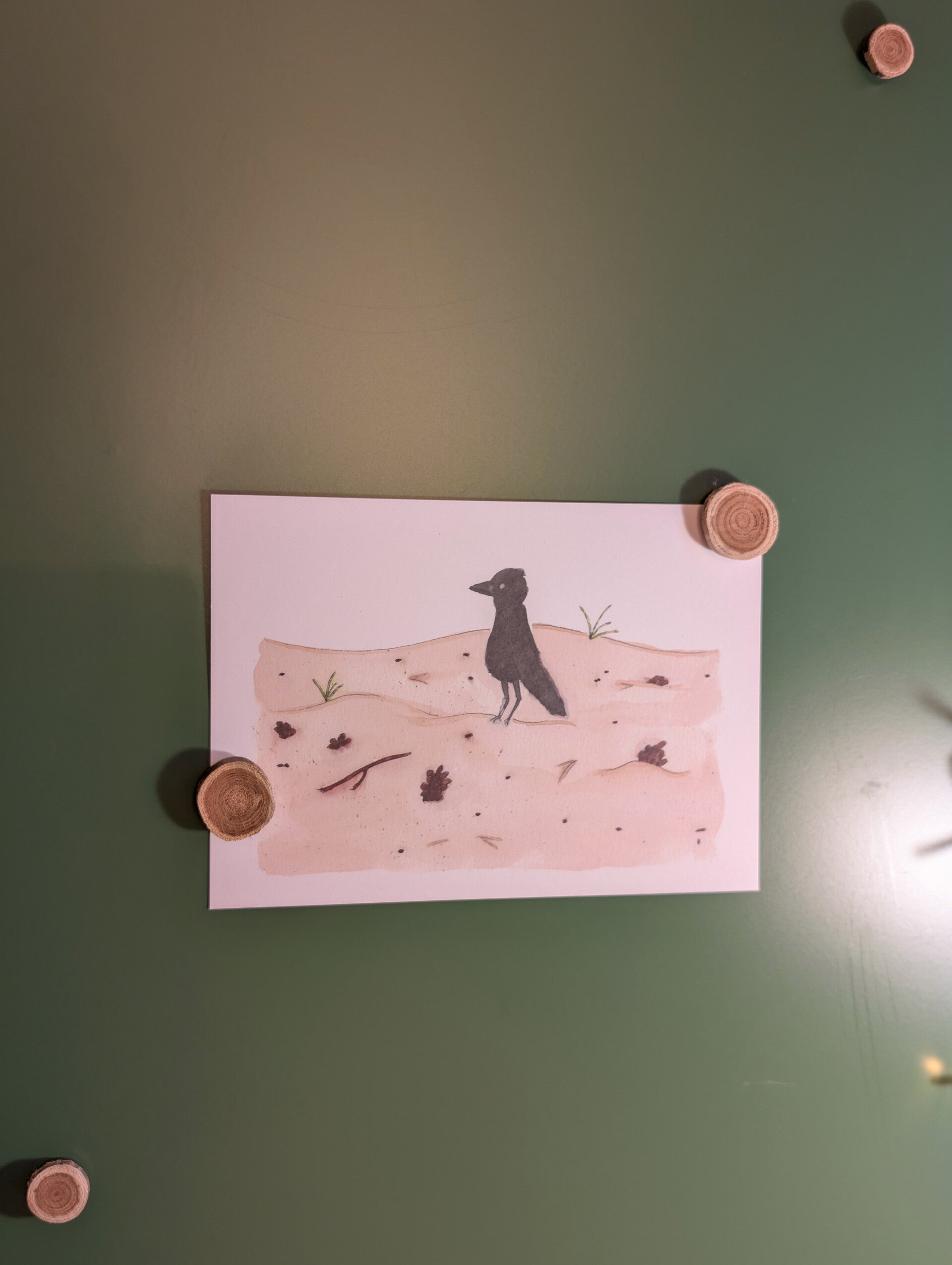 Zwarte vogel