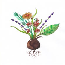 bloembol4-standard-b7uw2n.jpg
