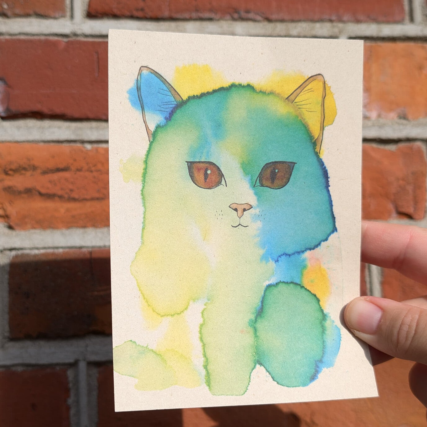 Aquarel kat