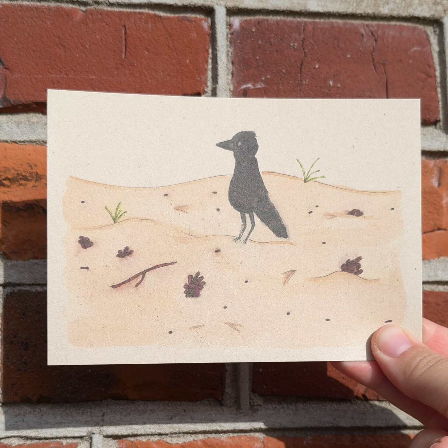 Zwarte vogel