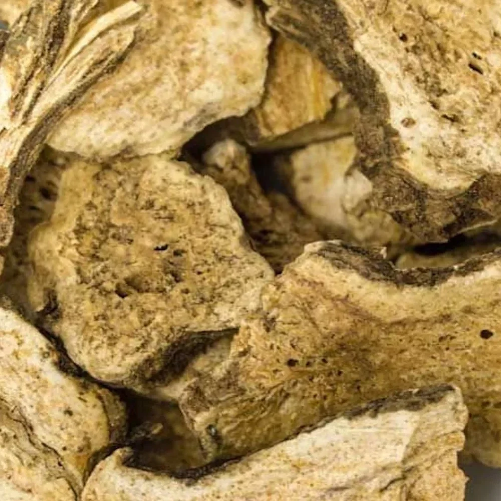 chinees distelmadeliefje wortel atractylodes Bai Zhu