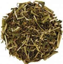 detox slank