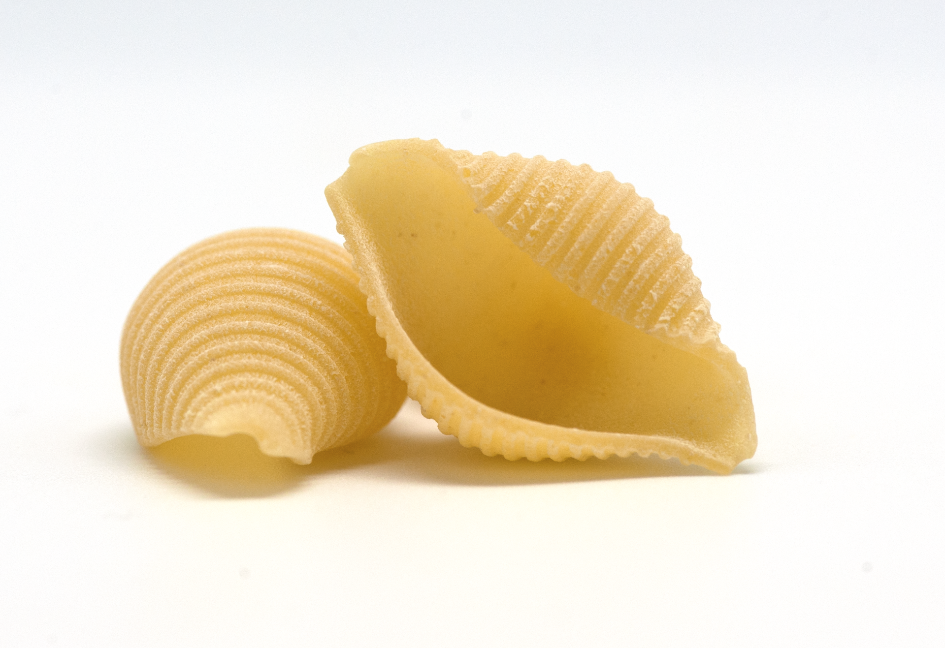 conchiglie schelpen pasta