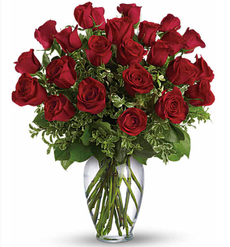 2dozen-red-roses-199-95-standard.png