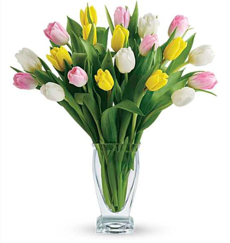 beautiful-tulips-69-95-standard.jpg