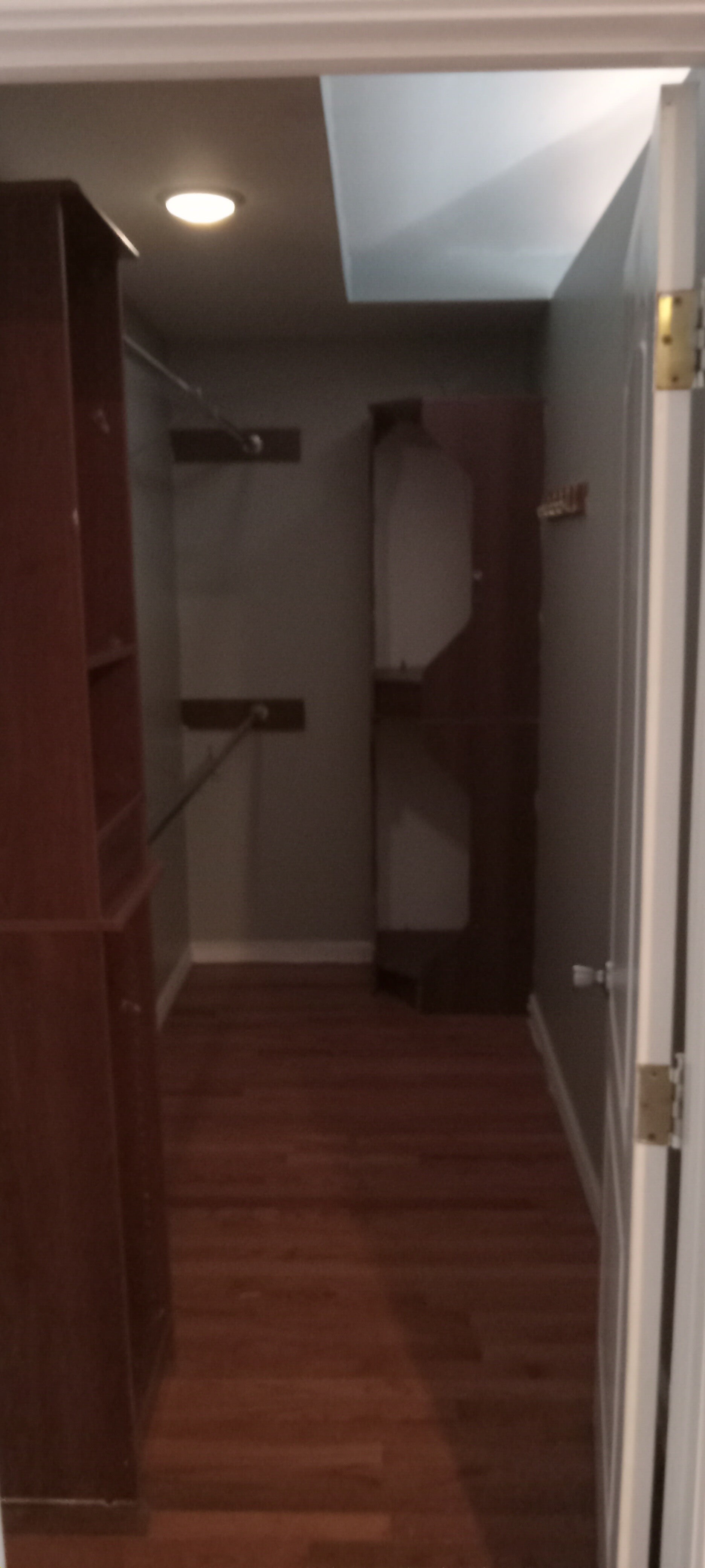 20240419_104945-standard.jpg