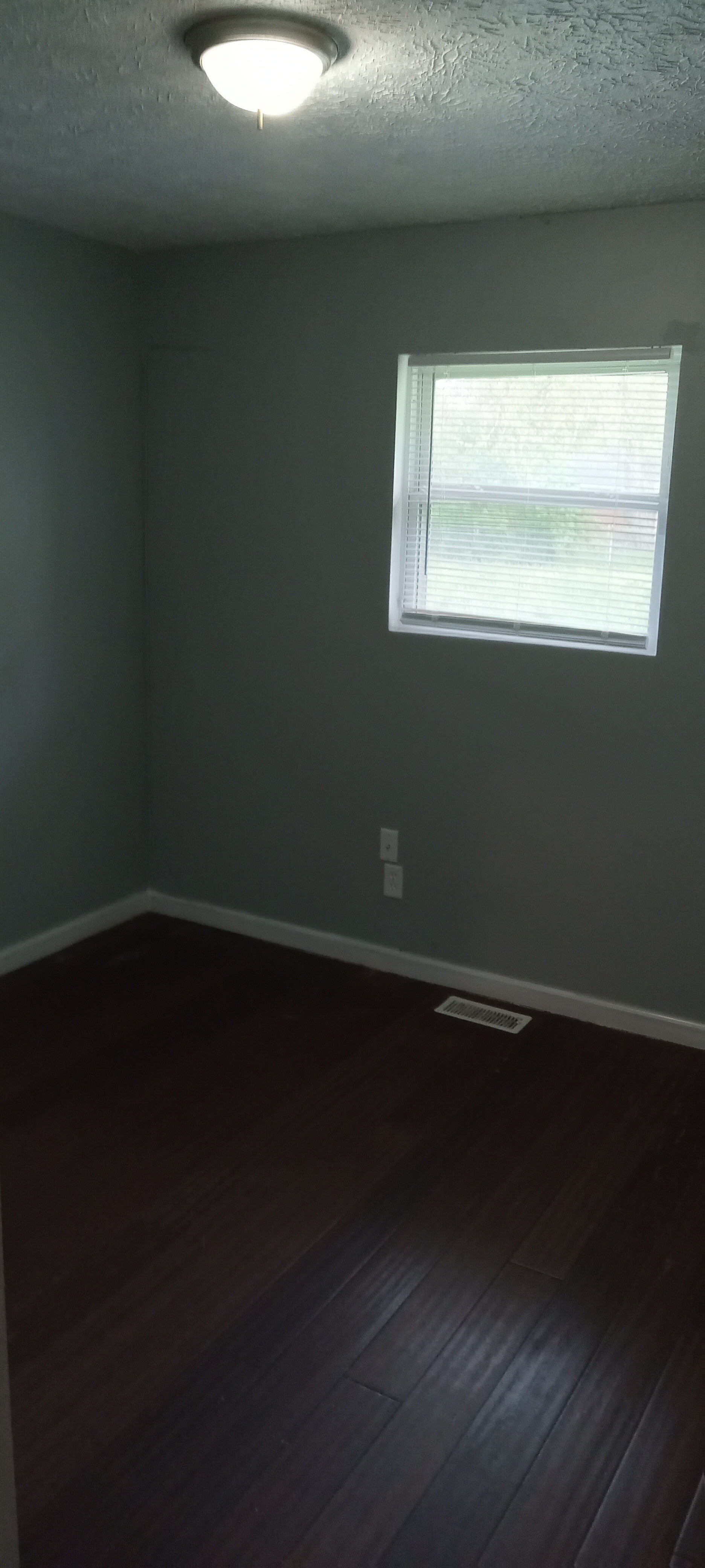 20240419_105031-standard.jpg