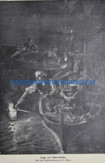 Tintenfischjagd Bild als digitaler Download Stockfoto