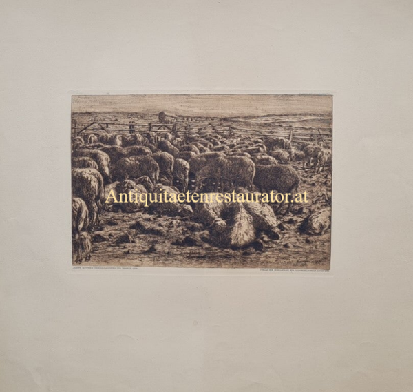 Otto Heinrich, "Schafe im Pferch"