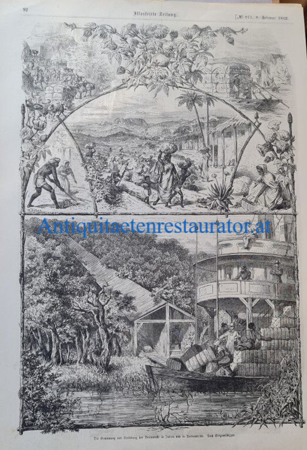 Baumwollernte, Holzstich