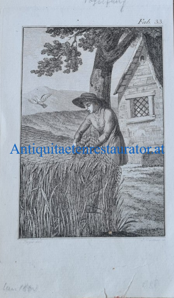 Vogelfänger