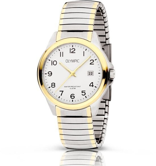 Olympic OL26HSS310B