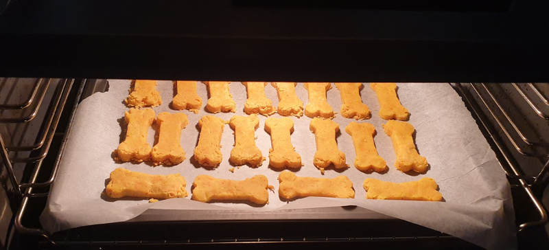 Dog on lead wades into water and mangroves with city landscape in the distance