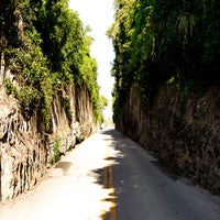 img_0314-standard.jpg
