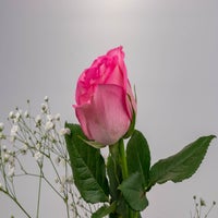 img_3186-standard.jpg