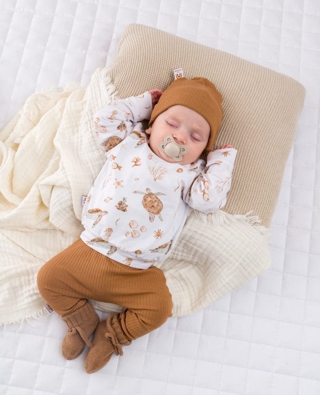 Little Adventure - T-shirt lange mouw Schildpad