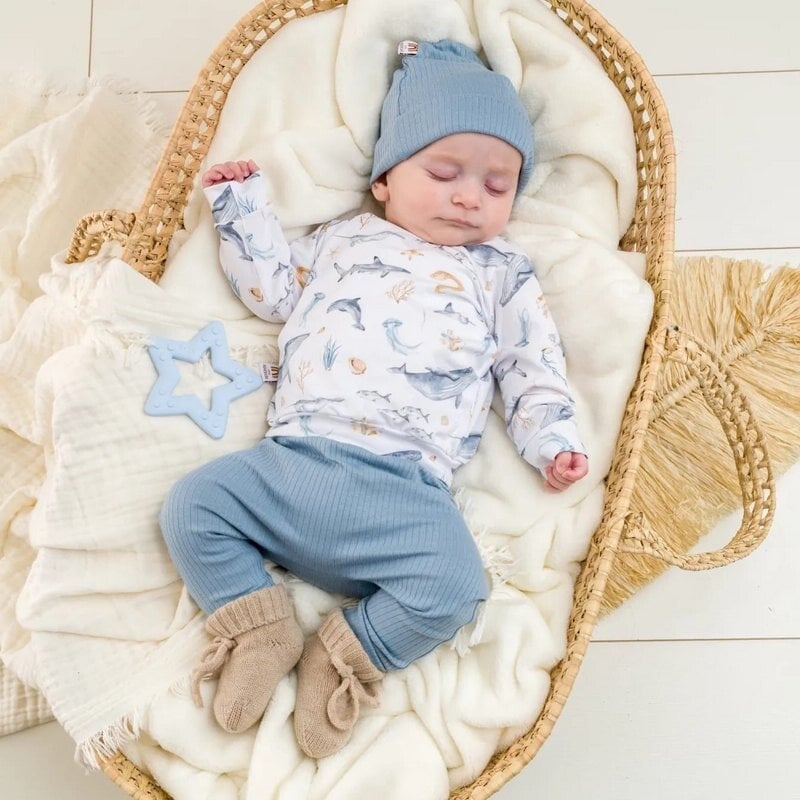 Little Adventure - T-shirt lange mouw Zeedieren