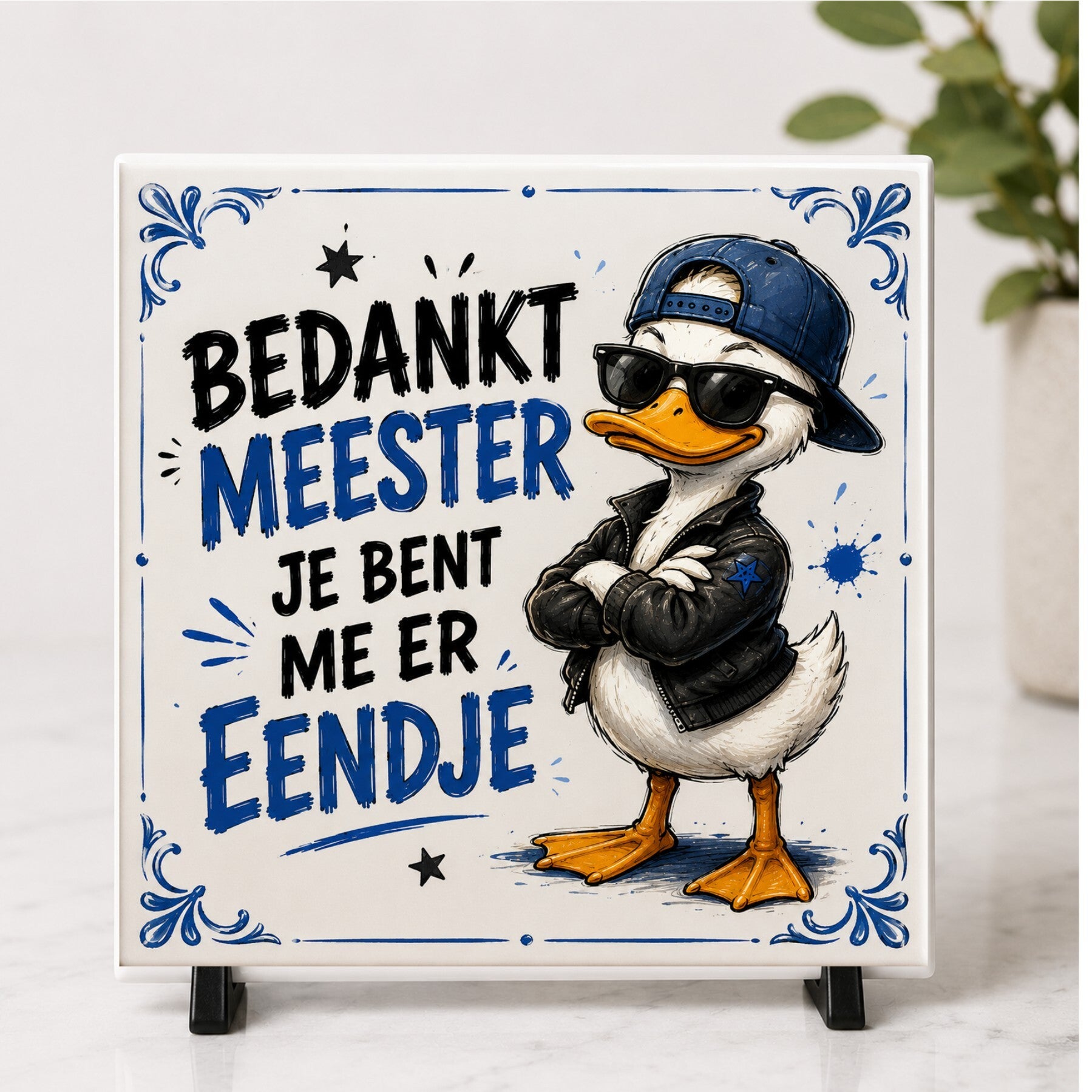 meester eend 4