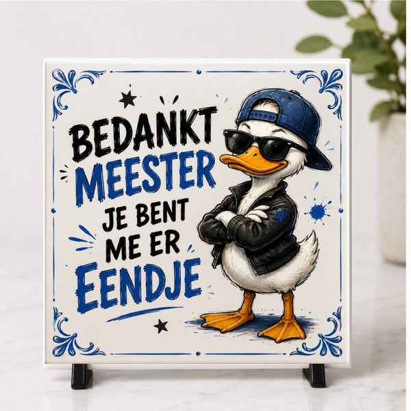 meester eend 4