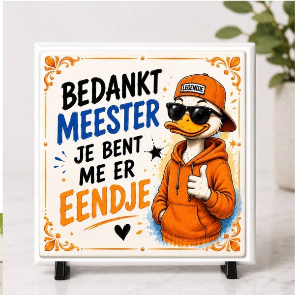 meester eend 6