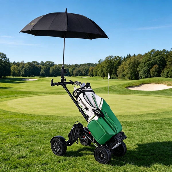 CARRO GOLF