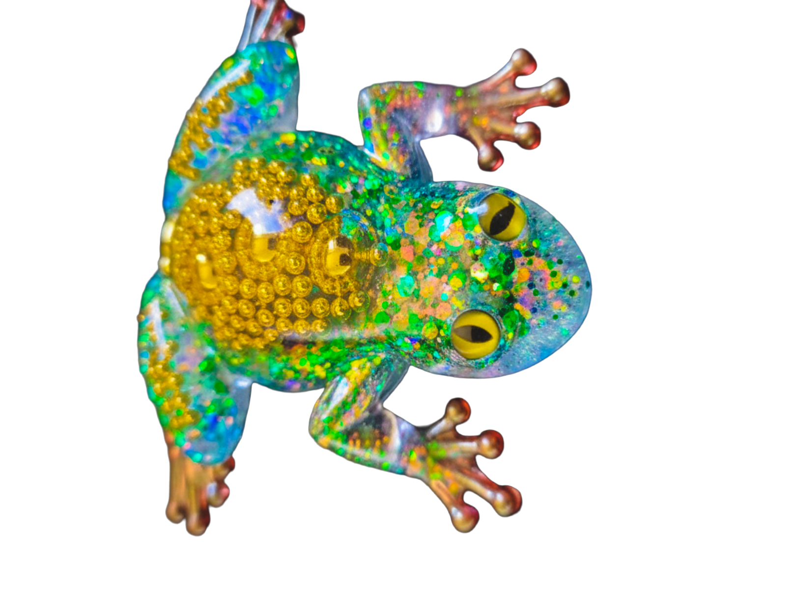 Frog Friend - Customised