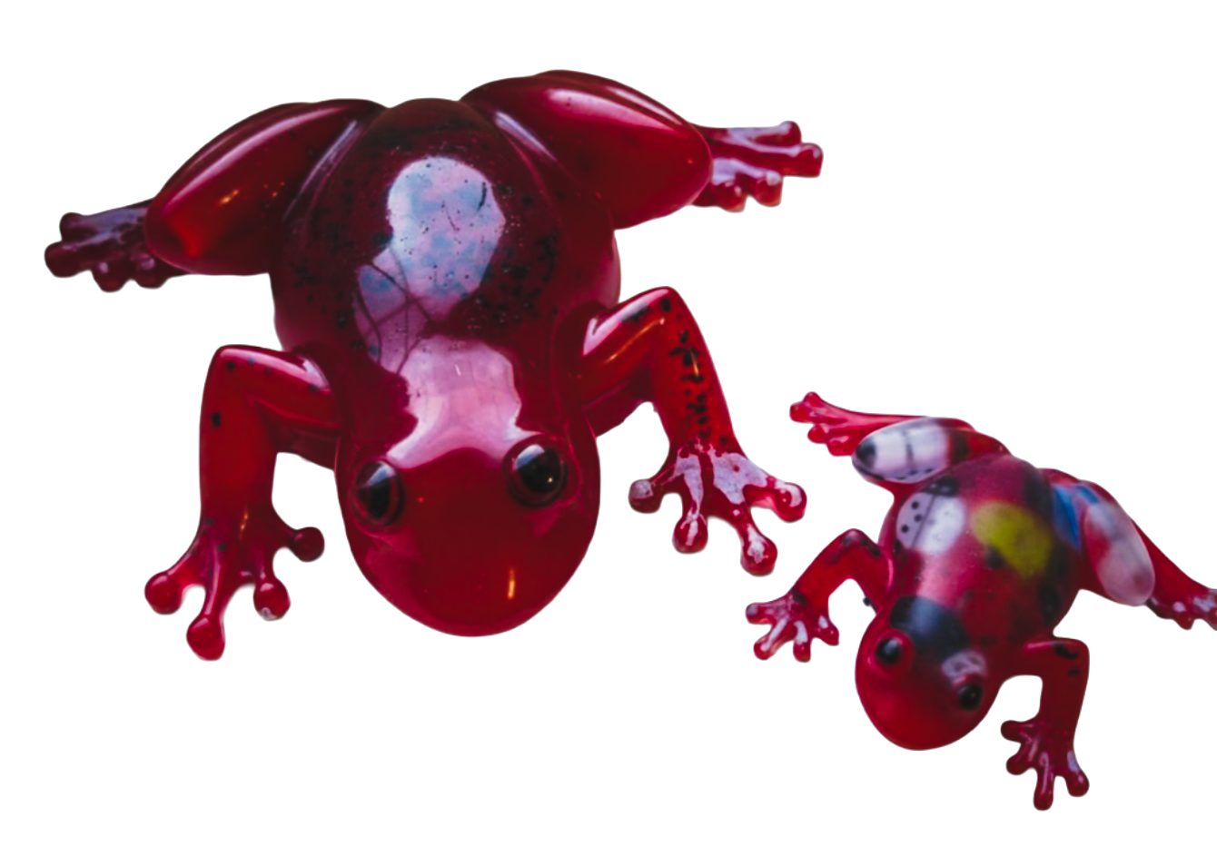 Frog Friend with small buddy -  Customised