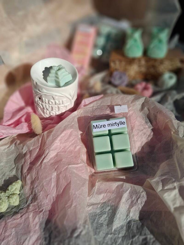 fondant 6 cavité moustique killer