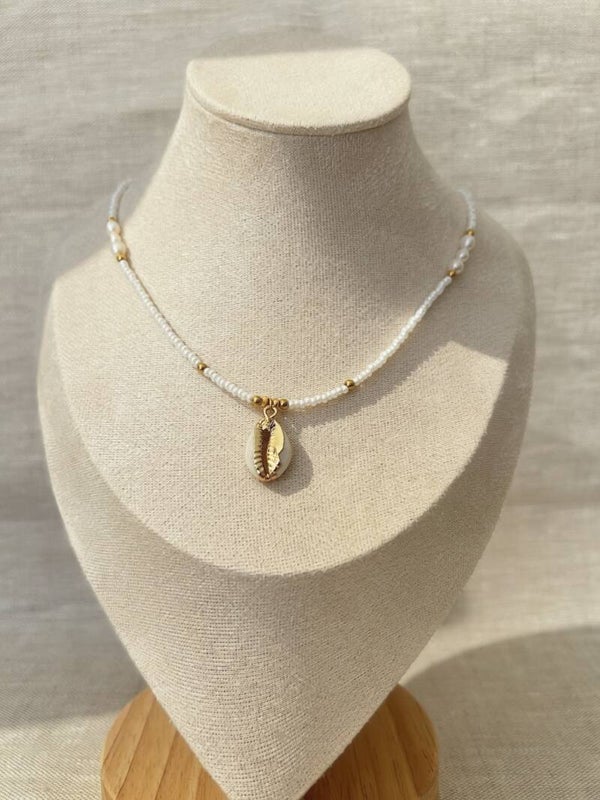 Collier Coquillage Cauri