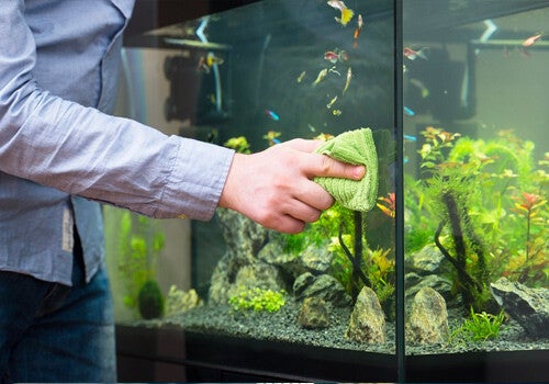 Contrat aquarium 4 mois : 15 j