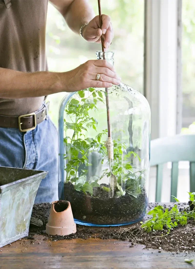 Contrat entretien terrarium 3 mois