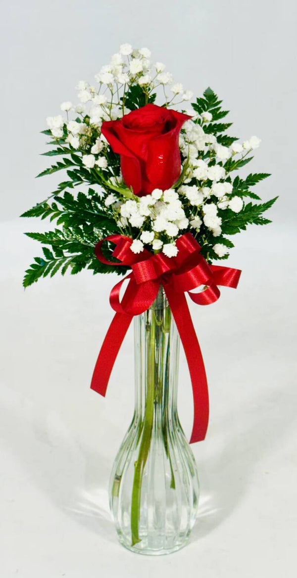 One & Only Red Rose