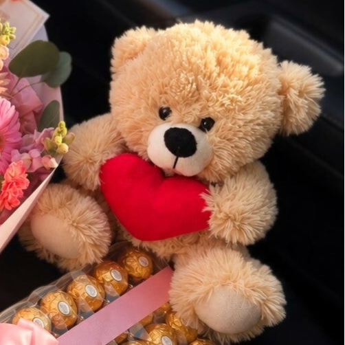 PLUSH TEDDY BEAR