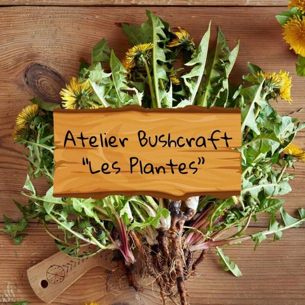 Ateliers Bushcraft "Les Plantes"