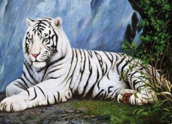 1103 diamond painting tijger extra groot