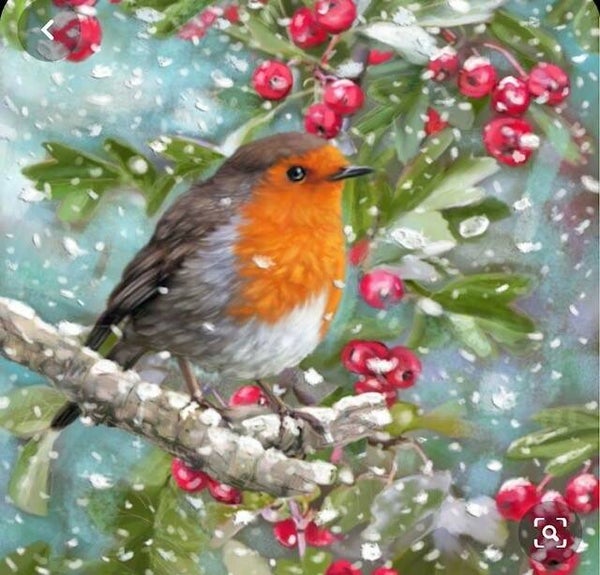 315 diamond painting roodborstje sneeuw