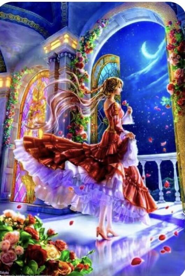 59 diamond painting  30 bij 25 cm dame