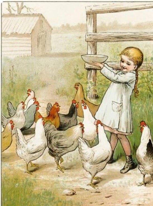 385 diamond painting kippen voeren