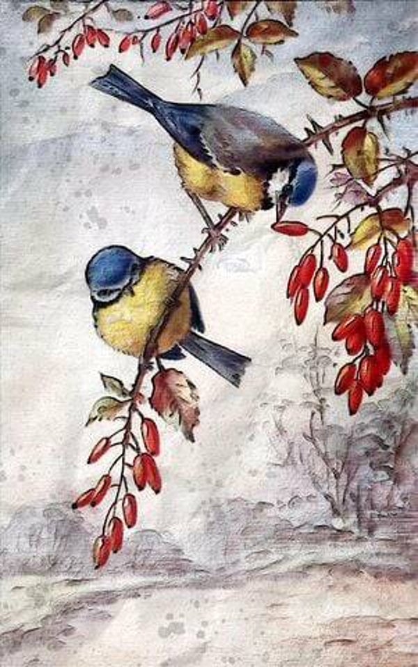 1023 diamond painting vogel extra groot