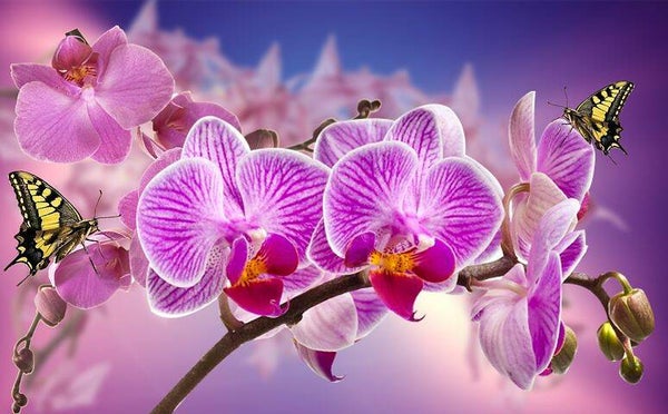 1026 diamond painting orchidee