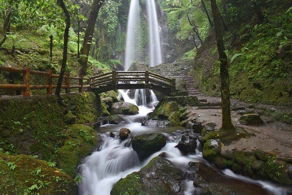 1038 diamondpainting waterval brug