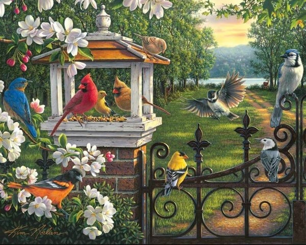 FD 0449 diamond painting vogelhuis