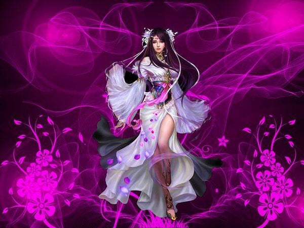 1069 diamond painting vrouw extra groot