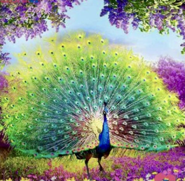 diamond painting pauw niet full