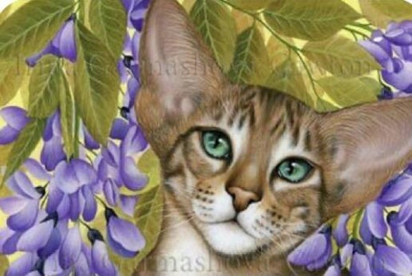 62 diamond painting  poes