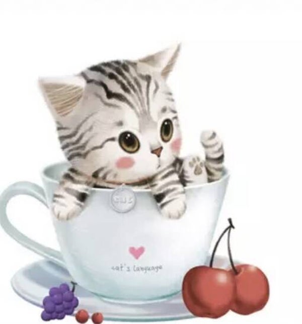 46 diamond painting poes