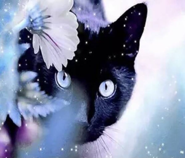 45 diamond painting poes