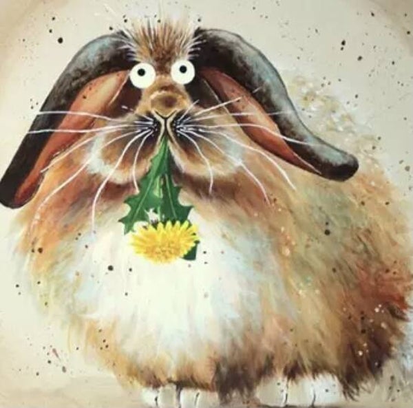 72 diamond painting konijn