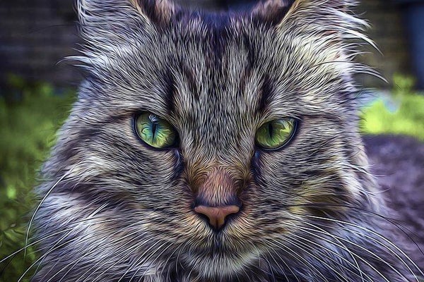 1177 diamond painting poes