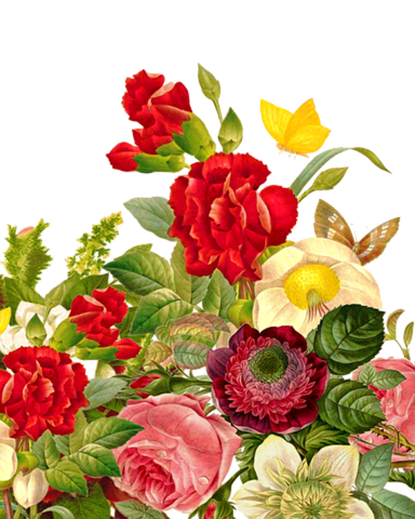 1237 diamond painting bloemen